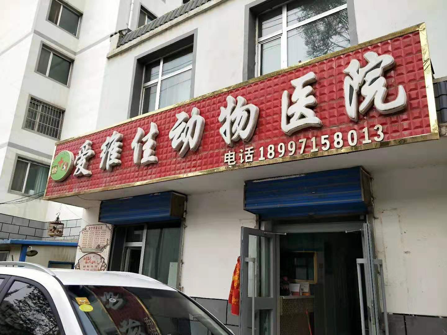 寵物醫院客戶11